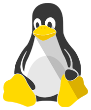 купить Прокси сервер для Linux